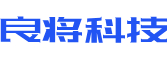 西双软件开发公司